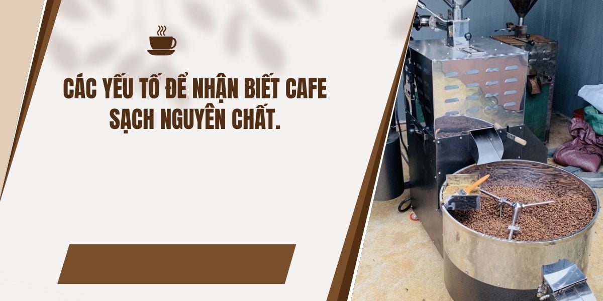 Các yếu tố để nhận biết cafe sạch nguyên chất Các yếu tố để nhận biết cafe sạch nguyên chất
